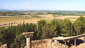 Muscat Languedoc