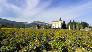 vins rouges Languedoc