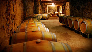 vins du Languedoc