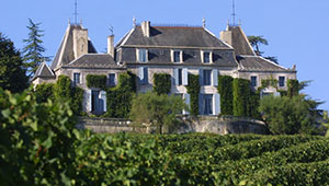 vente vin Bordeaux